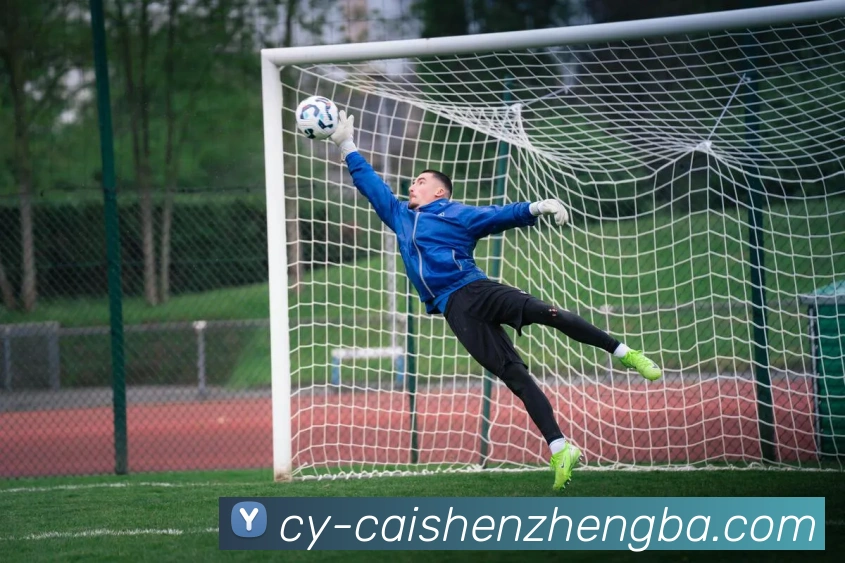 彩神争霸APP 封面图